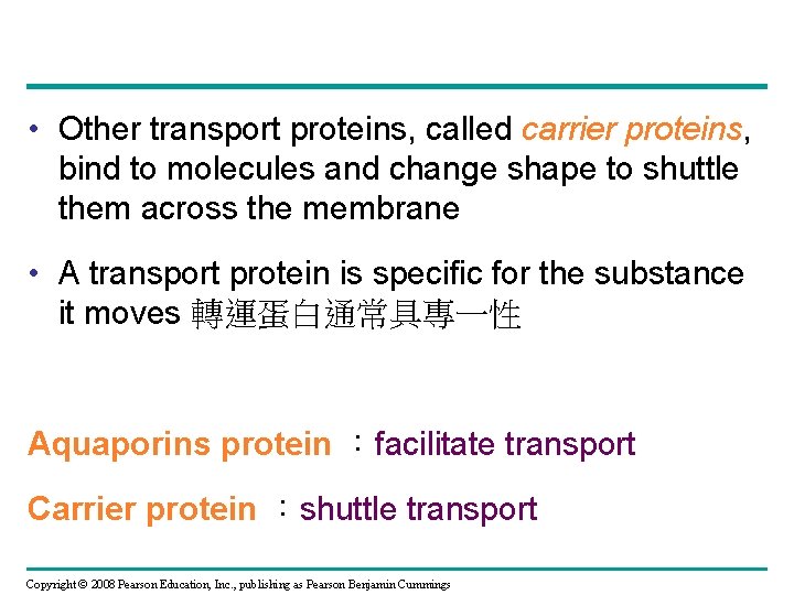 • Other transport proteins, called carrier proteins, bind to molecules and change shape