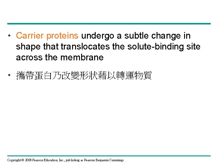  • Carrier proteins undergo a subtle change in shape that translocates the solute-binding