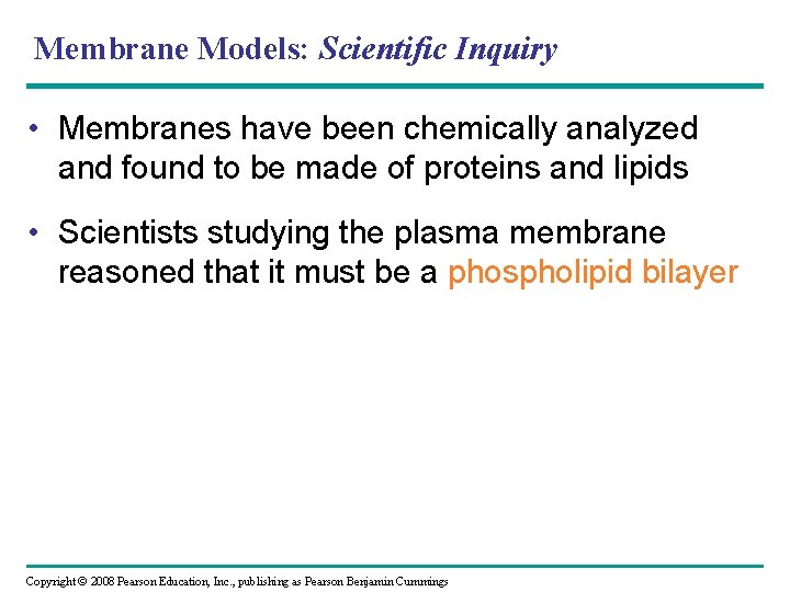 Membrane Models: Scientific Inquiry • Membranes have been chemically analyzed and found to be