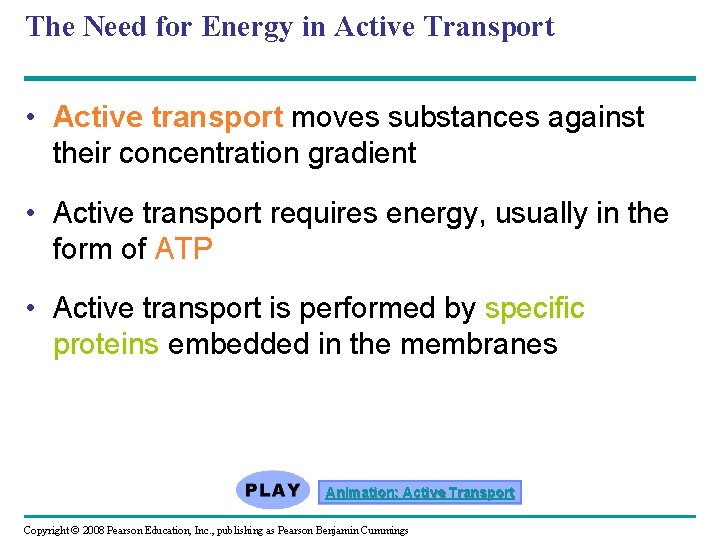 The Need for Energy in Active Transport • Active transport moves substances against their