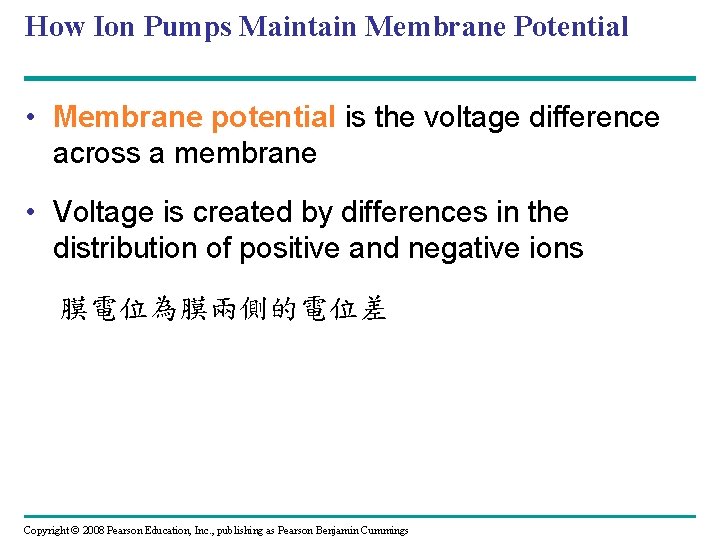 How Ion Pumps Maintain Membrane Potential • Membrane potential is the voltage difference across