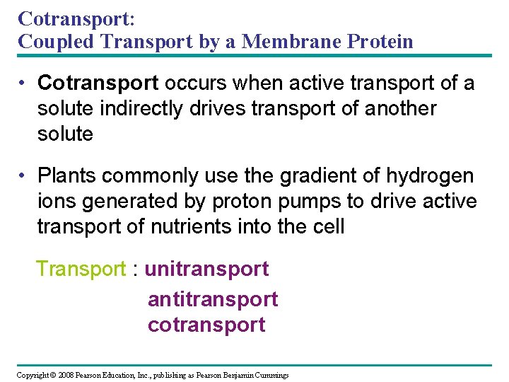 Cotransport: Coupled Transport by a Membrane Protein • Cotransport occurs when active transport of