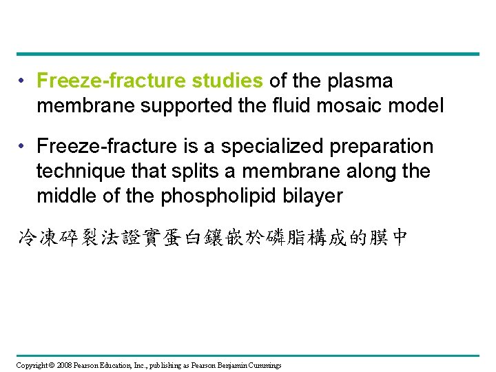  • Freeze-fracture studies of the plasma membrane supported the fluid mosaic model •