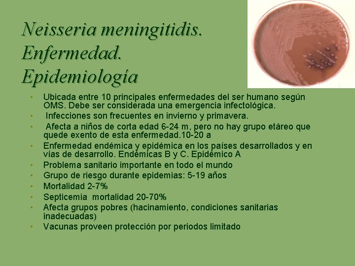 Neisseria meningitidis. Enfermedad. Epidemiología • • • Ubicada entre 10 principales enfermedades del ser