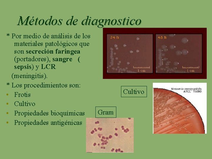 Métodos de diagnostico * Por medio de análisis de los materiales patológicos que son