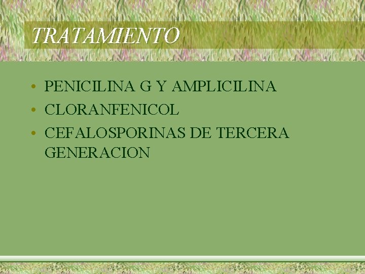 TRATAMIENTO • PENICILINA G Y AMPLICILINA • CLORANFENICOL • CEFALOSPORINAS DE TERCERA GENERACION 