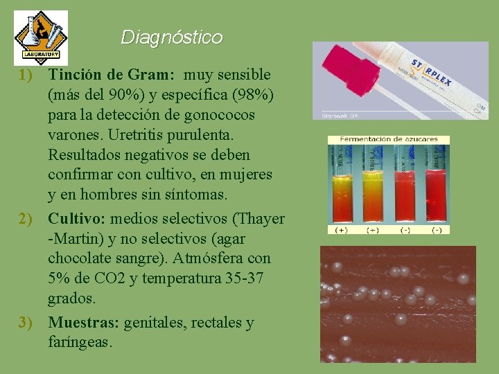 Diagnóstico 1) Tinción de Gram: muy sensible (más del 90%) y específica (98%) para