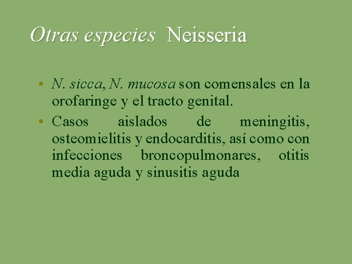Otras especies Neisseria • N. sicca, N. mucosa son comensales en la orofaringe y
