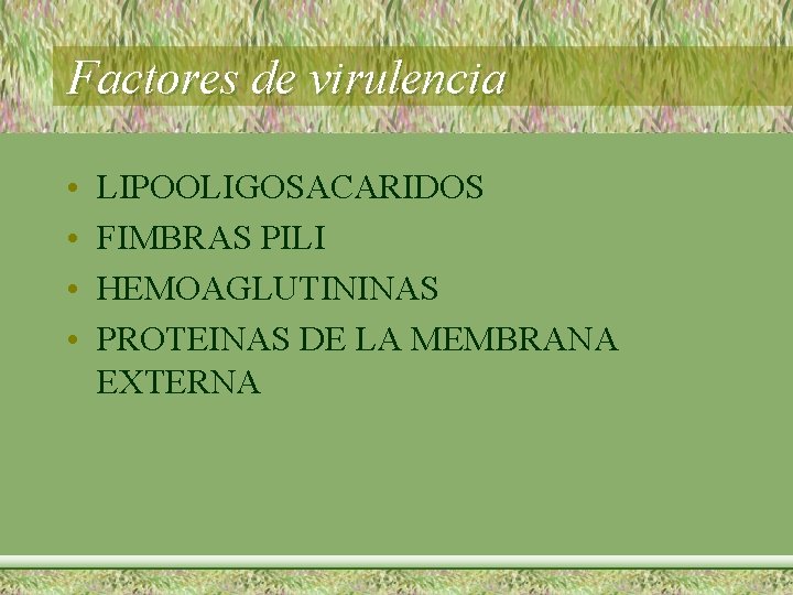 Factores de virulencia • • LIPOOLIGOSACARIDOS FIMBRAS PILI HEMOAGLUTININAS PROTEINAS DE LA MEMBRANA EXTERNA