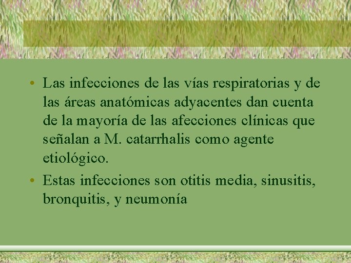  • Las infecciones de las vías respiratorias y de las áreas anatómicas adyacentes