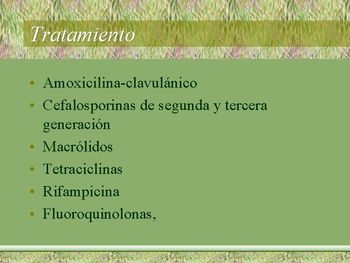 Tratamiento • Amoxicilina-clavulánico • Cefalosporinas de segunda y tercera generación • Macrólidos • Tetraciclinas