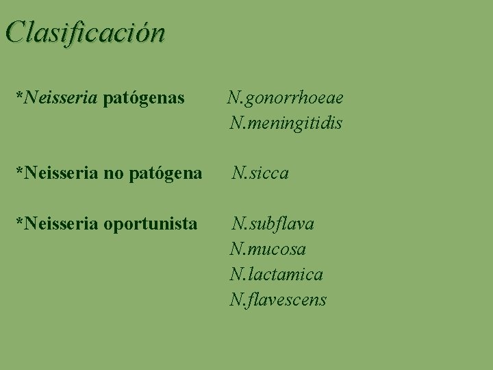 Clasificación *Neisseria patógenas N. gonorrhoeae N. meningitidis *Neisseria no patógena N. sicca *Neisseria oportunista