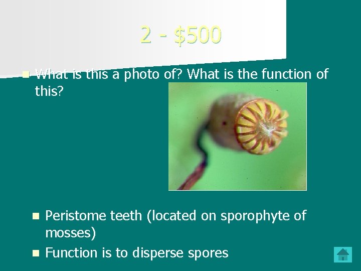 2 - $500 n What is this a photo of? What is the function 2 - $500 n What is this a photo of? What is the function
