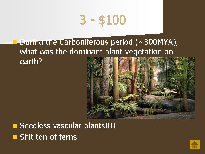 3 - $100 n During the Carboniferous period (~300 MYA), what was the dominant 3 - $100 n During the Carboniferous period (~300 MYA), what was the dominant