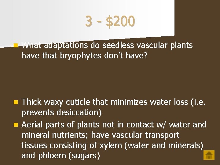 3 - $200 n What adaptations do seedless vascular plants have that bryophytes don’t 3 - $200 n What adaptations do seedless vascular plants have that bryophytes don’t