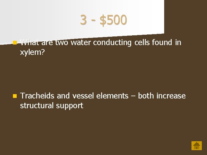 3 - $500 n What are two water conducting cells found in xylem? n 3 - $500 n What are two water conducting cells found in xylem? n