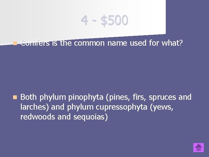 4 - $500 n Conifers is the common name used for what? n Both