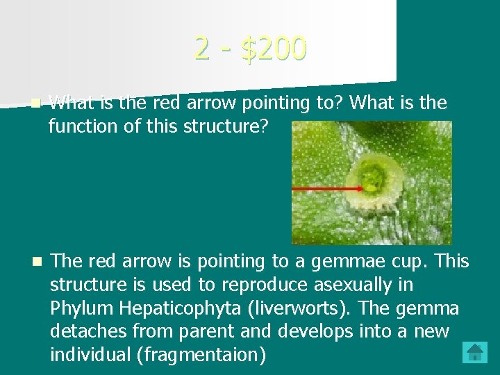 2 - $200 n What is the red arrow pointing to? What is the 2 - $200 n What is the red arrow pointing to? What is the