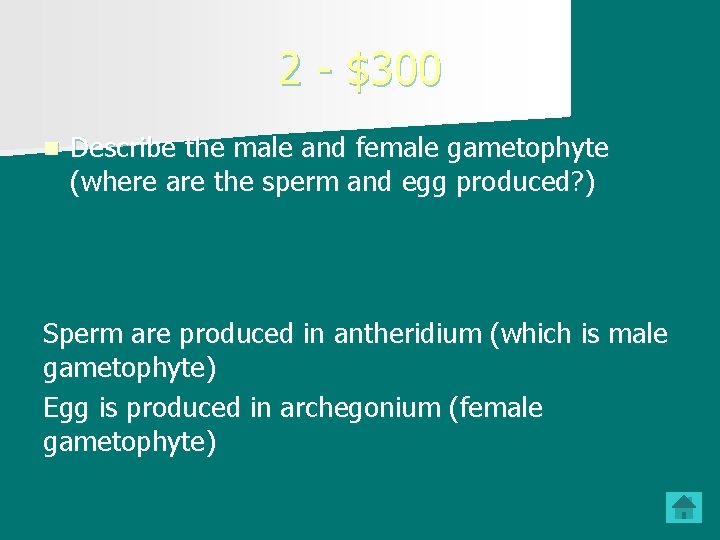 2 - $300 n Describe the male and female gametophyte (where are the sperm