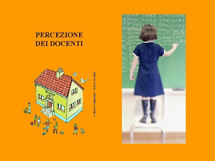 PERCEZIONE DEI DOCENTI 