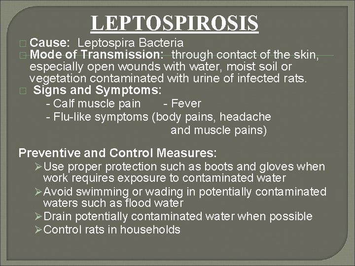 LEPTOSPIROSIS � Cause: Leptospira Bacteria � Mode of Transmission: through contact of the skin,