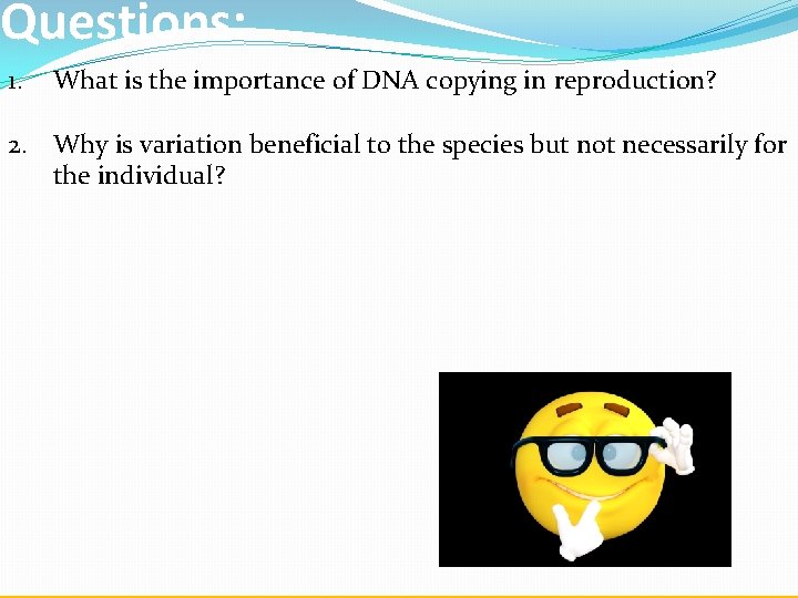 Questions: 1. What is the importance of DNA copying in reproduction? 2. Why is