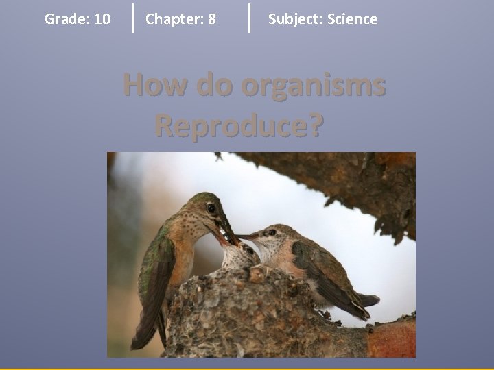 Grade: 10 Chapter: 8 Subject: Science How do organisms Reproduce? 