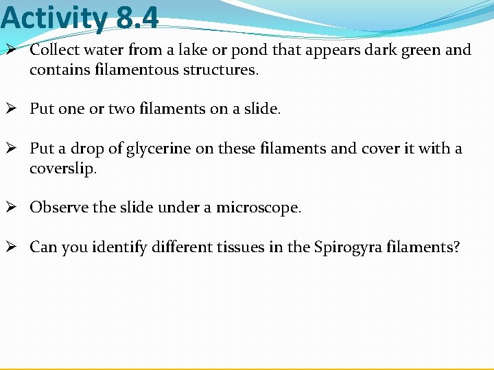 Activity 8. 4 Ø Collect water from a lake or pond that appears dark