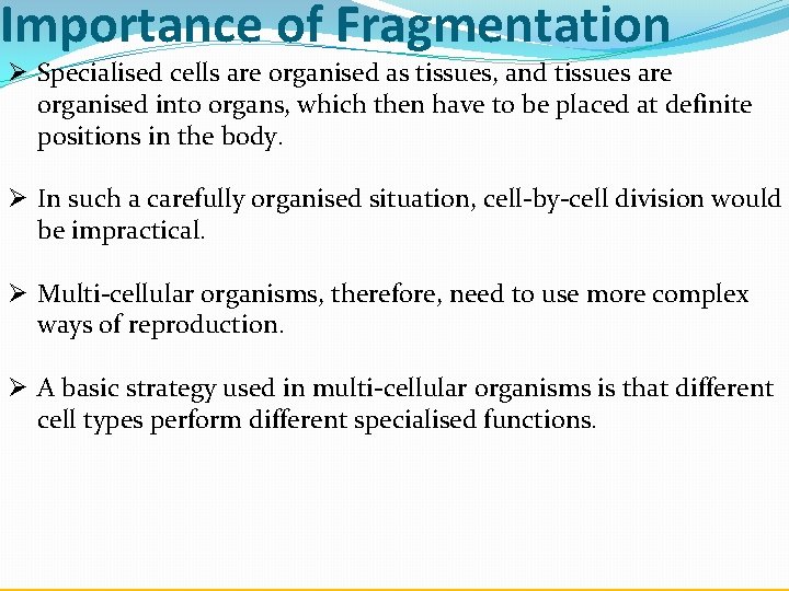 Importance of Fragmentation Ø Specialised cells are organised as tissues, and tissues are organised