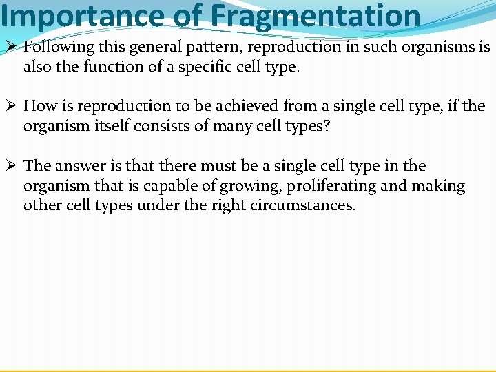 Importance of Fragmentation Ø Following this general pattern, reproduction in such organisms is also