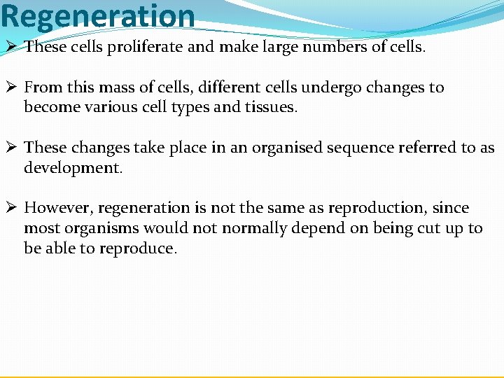 Regeneration Ø These cells proliferate and make large numbers of cells. Ø From this