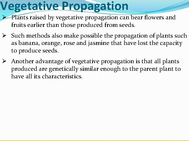 Vegetative Propagation Ø Plants raised by vegetative propagation can bear flowers and fruits earlier