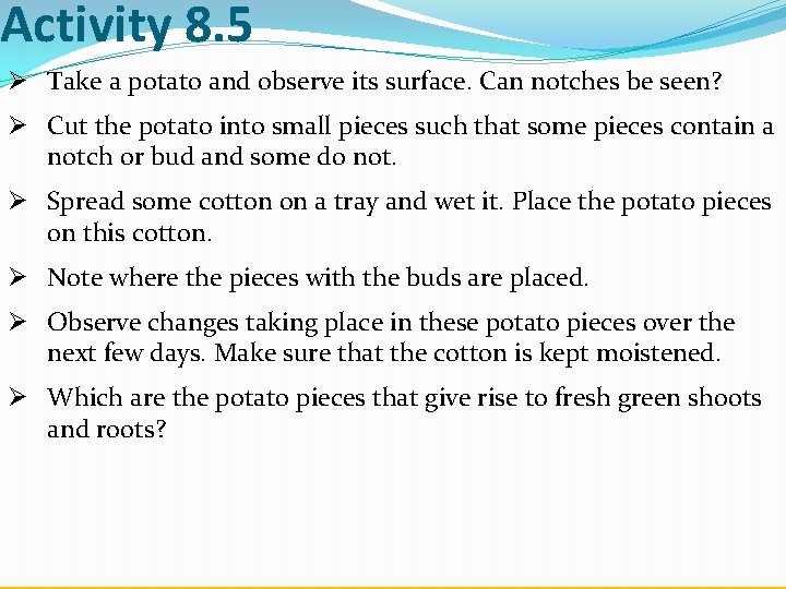 Activity 8. 5 Ø Take a potato and observe its surface. Can notches be