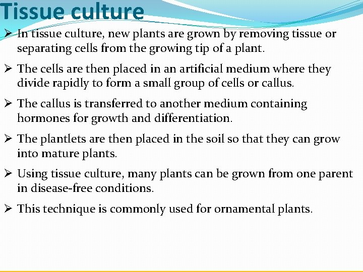 Tissue culture Ø In tissue culture, new plants are grown by removing tissue or