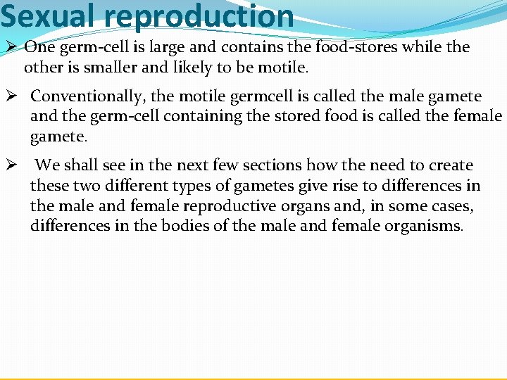 Sexual reproduction Ø One germ-cell is large and contains the food-stores while the other