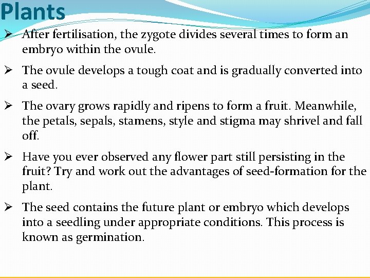 Plants Ø After fertilisation, the zygote divides several times to form an embryo within