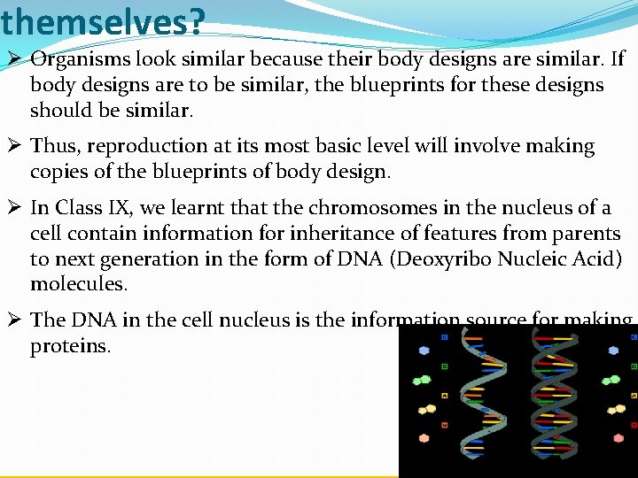 themselves? Ø Organisms look similar because their body designs are similar. If body designs