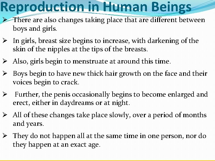 Reproduction in Human Beings Ø There also changes taking place that are different between