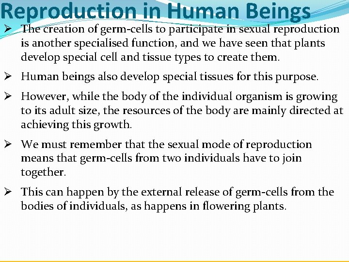 Reproduction in Human Beings Ø The creation of germ-cells to participate in sexual reproduction