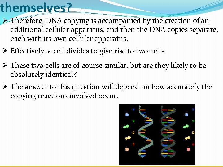 themselves? Ø Therefore, DNA copying is accompanied by the creation of an additional cellular