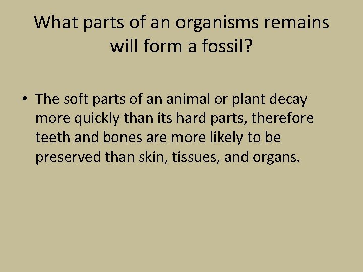 What parts of an organisms remains will form a fossil? • The soft parts