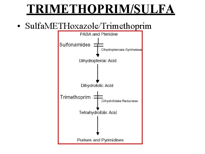 TRIMETHOPRIM/SULFA • Sulfa. METHoxazole/Trimethoprim 