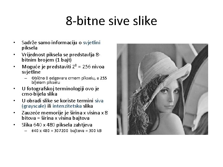 8 -bitne sive slike • • • Sadrže samo informaciju o svjetlini piksela Vrijednost