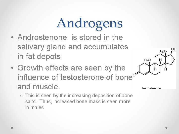 Androgens • Androstenone is stored in the salivary gland accumulates in fat depots •