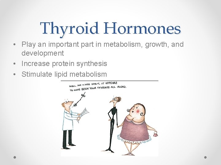 Thyroid Hormones • Play an important part in metabolism, growth, and development • Increase