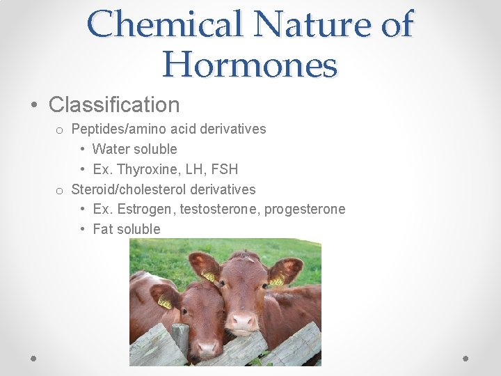 Chemical Nature of Hormones • Classification o Peptides/amino acid derivatives • Water soluble •