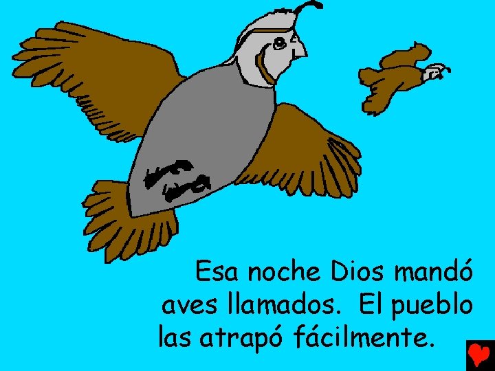 Esa noche Dios mandó aves llamados. El pueblo las atrapó fácilmente. 
