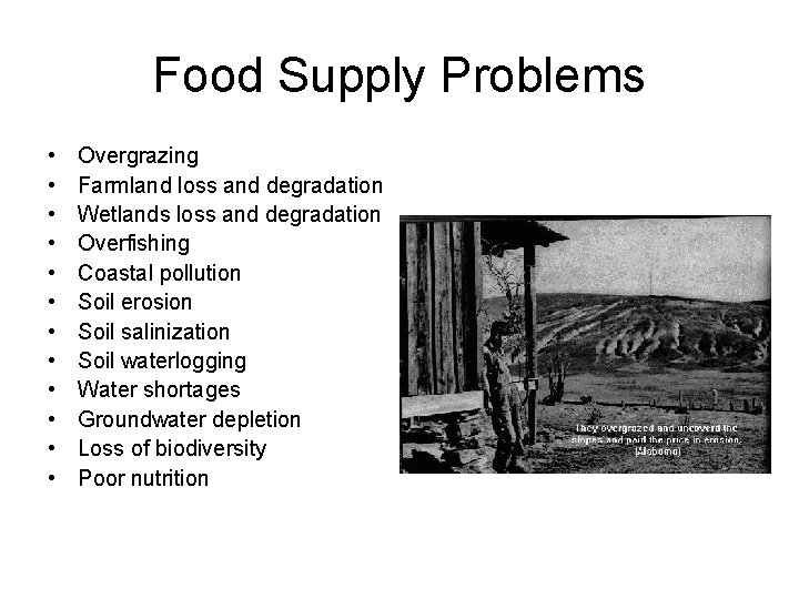 Food Supply Problems • • • Overgrazing Farmland loss and degradation Wetlands loss and