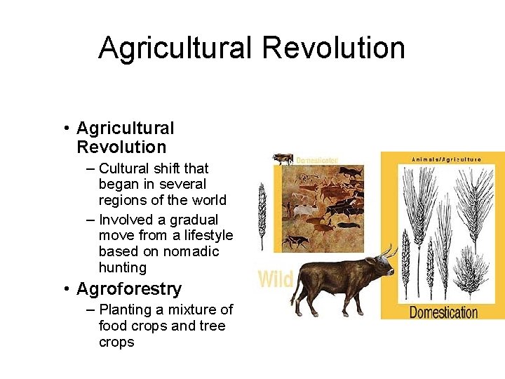 Agricultural Revolution • Agricultural Revolution – Cultural shift that began in several regions of