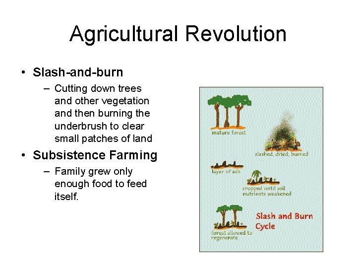 Agricultural Revolution • Slash-and-burn – Cutting down trees and other vegetation and then burning